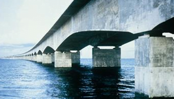 Chống ăn mòn bê tông